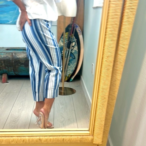 Mixit Stretch,Adorable & Slimming Vertical-Striped Cuffed & Cropped Pant,Size 10 - Picture 5 of 12